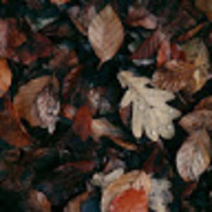 Meet your Posher, Ashlyn